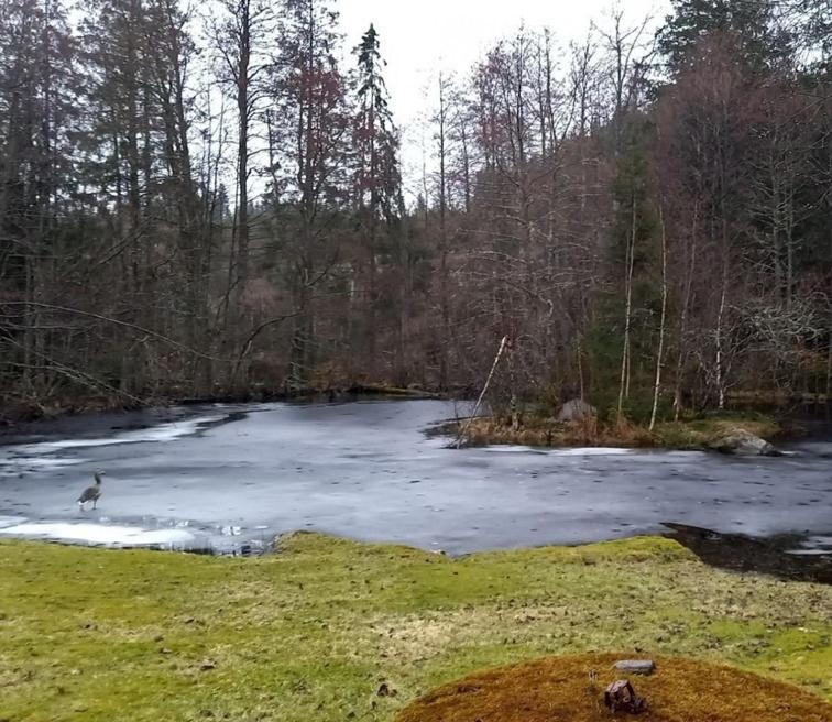 Borås Gaeststuga I Vacker Natur, Bastu, Bubbelpool Sommartid Och Gratis Parkering Naera Ulricehamn Och Lassalyckan, Guesthouse With Nice View With Sauna And Free Parking Close To Dalsjoefors And Fishing מראה חיצוני תמונה